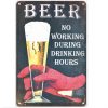 30x40cm - Beer, No Working During Frinking Hours YC34-11733
