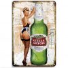sexy beer brand tin paintings vintage wall decor
