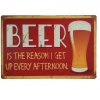 30x40cm - Beer is the Reason, I Get Up Every Afternoon YC34-11700