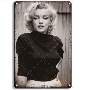 Tranh Thiếc 20x30cm - Nhân vật & Phong cảnh