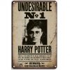 20x30cm - Harry Potter Undesirable No1 S23-40152