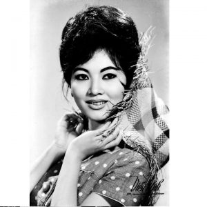 Tranh thiếc 20x30cm - Vietnamese Beauty C23-217