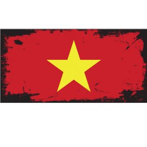 Tranh biển số xe 30x15cm - cờ Việt Nam (VietNamese flag)  CS-401a