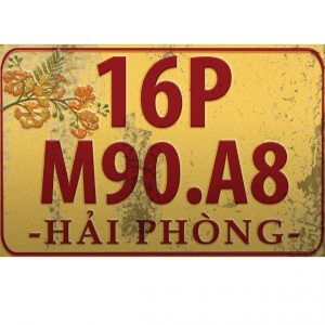Tranh phong cảnh 30x20cm biển số tỉnh Hải Phòng C23-516