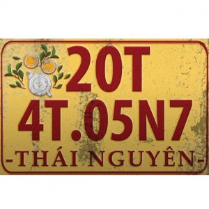 Tranh phong cảnh 30x20cm biển số tỉnh Thái Nguyên C23-520