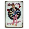 30x40cm - BullsEye's/ Sexy girl dartboard YC34-16778
