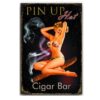 40x30cm - Pin Up Hot Cigar Bar YC34-3036