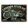 20x30cm - Legends Never Die YC23-484
