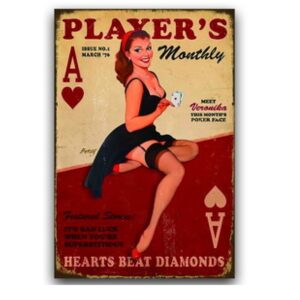 Tranh thiếc retro 40x30cm - Player's  YC34-15715