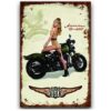 Siêu xe motor 30x40 - Harley Davidson, The Military YC34-10955