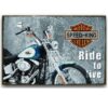 Tranh xe Harley Davidson 30x20cm Speed King YC23-15225