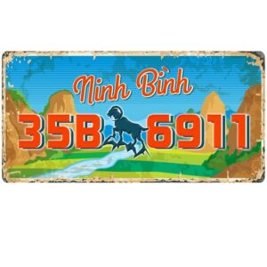 30x15cm Biển số xe Việt Nam decor - Ninh Bình VN35