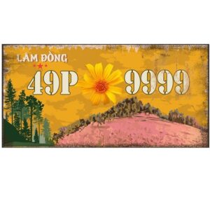 30x15cm Biển số xe Việt Nam decor - Lâm Đồng VN49