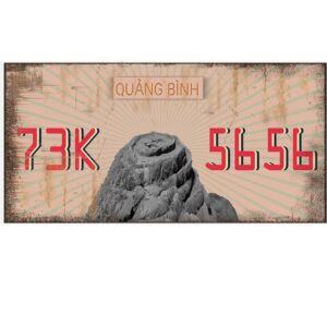 30x15cm Biển số xe Việt Nam decor - Quảng Bình VN73
