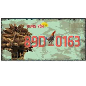 30x15cm Biển số xe Việt Nam decor - Hưng Yên VN89