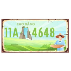 30x15cm Biển số xe Việt Nam decor - Cao Bằng VN11