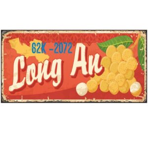 30x15cm Biển số xe Việt Nam decor retro - Long An VN62